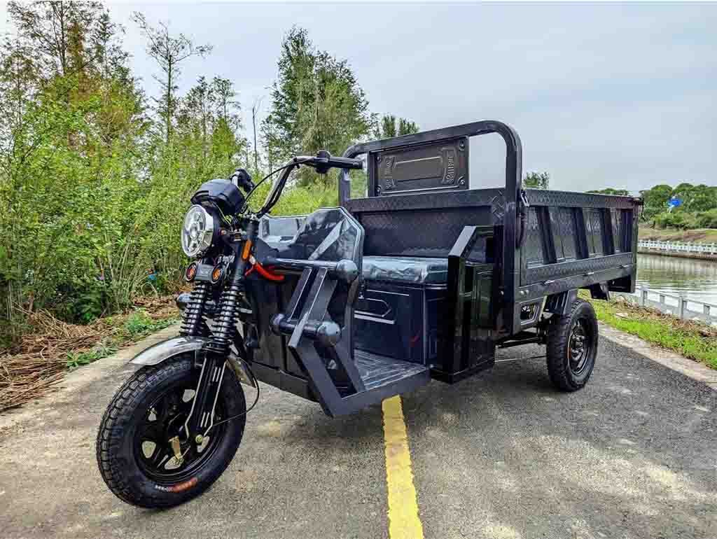 Electric Cargo Tricycle